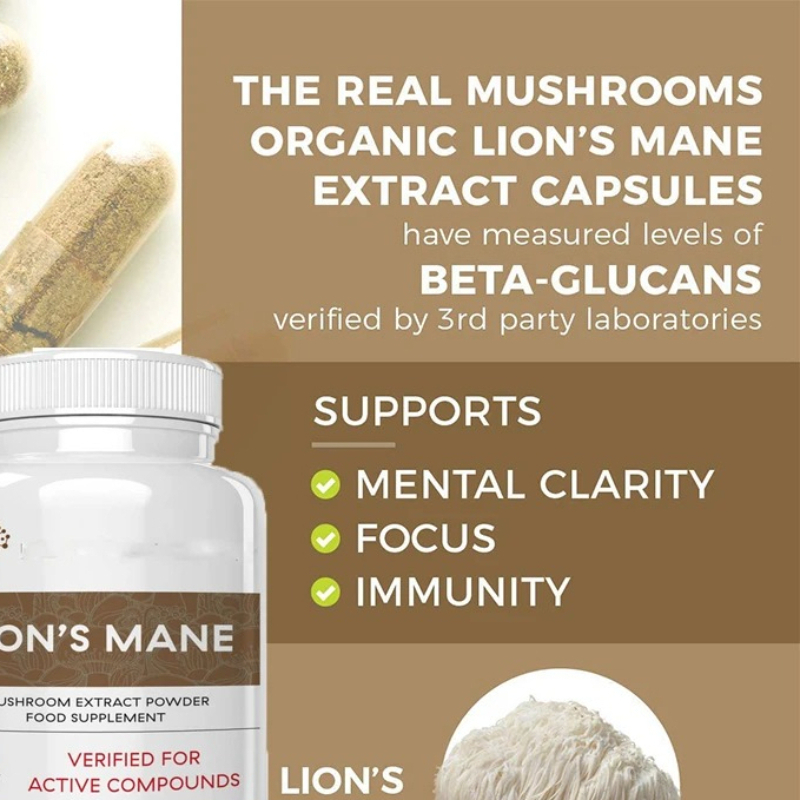 Lion Mane Mushroom - Lion Mane Ganoderma Mushroom Capsules Enhance