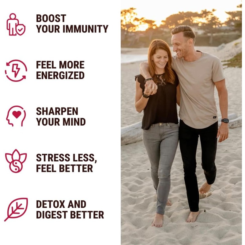 Shilajit Seaweed, Beetroot, Li - Lion Mane Mushroom review and price