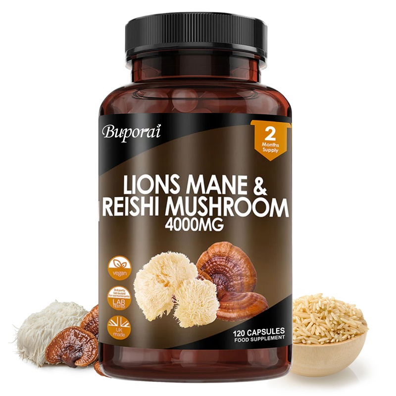 Lions Mane & Reishi Mushroom 4 - Lion Mane Mushroom review and price
