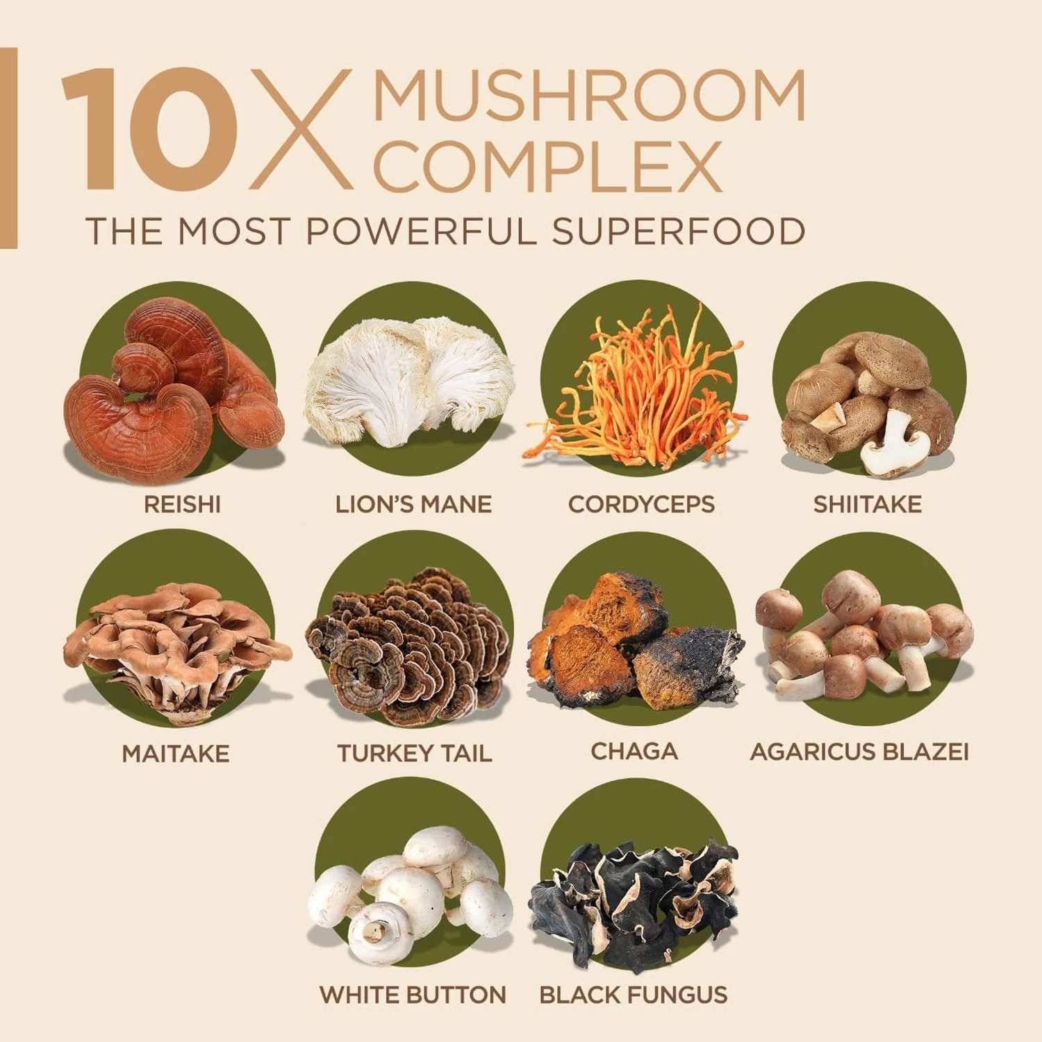 10x Mushroom Complex Capsules  - Lion Mane Mushroom review and price