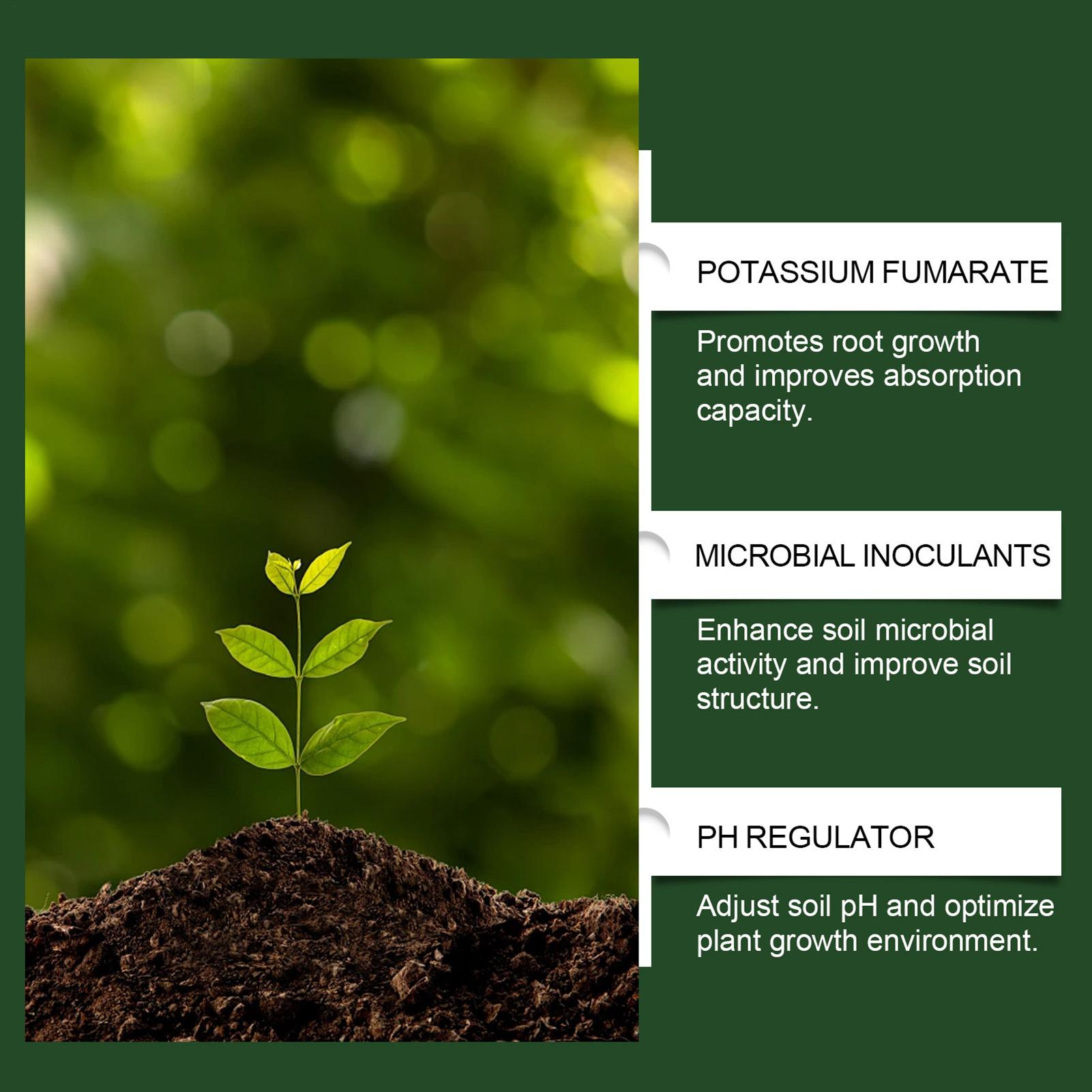 100g Organic Plant Root Enhanc - Roots Nutrition & Fitness Inglewood Photos review and price