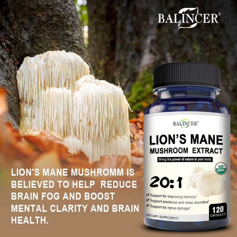 Lion's Mane - Nootropic Brain  - Lion Mane Mushroom review and price