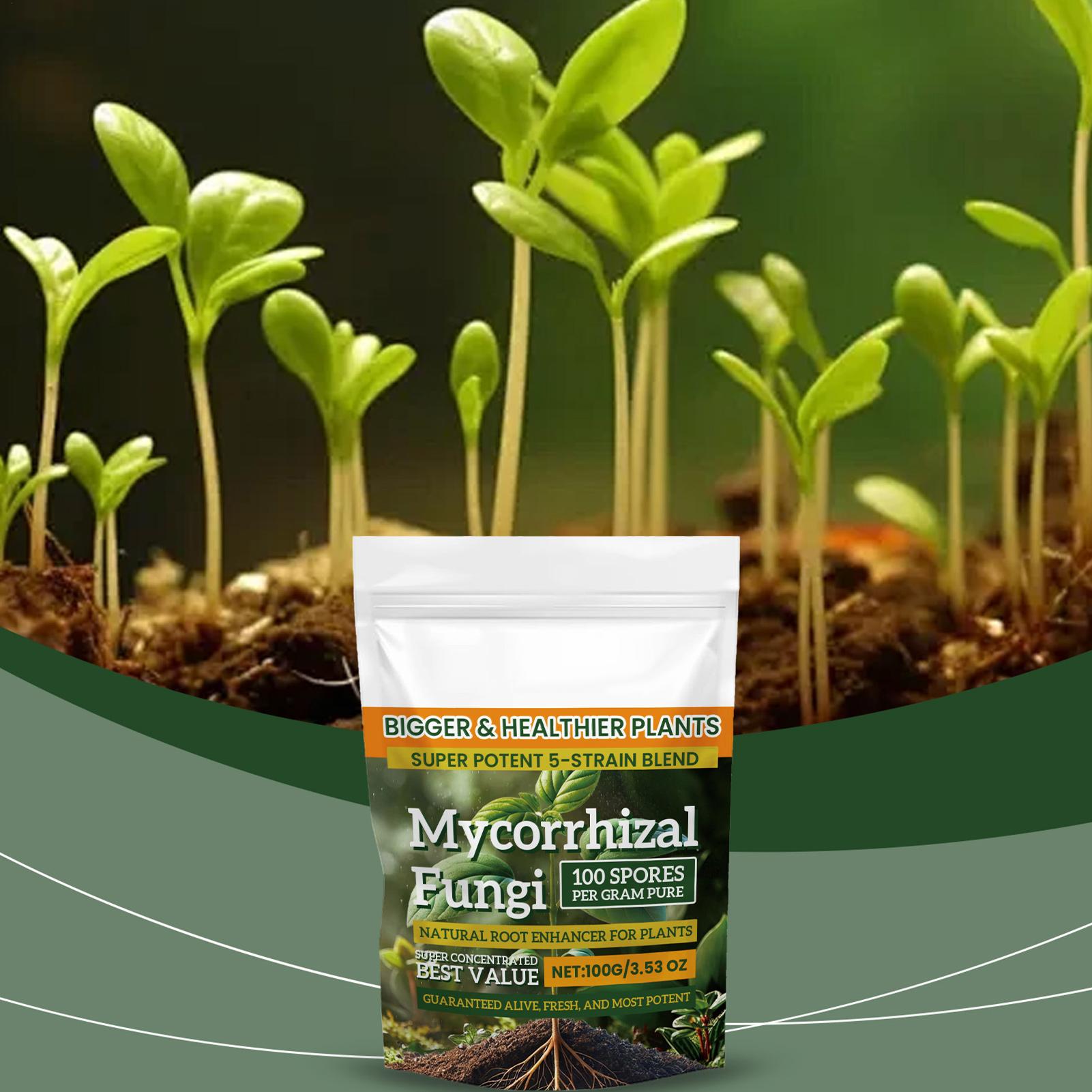 100g Root Enhancer Powder Natu - Roots Nutrition & Fitness Inglewood Photos review and price