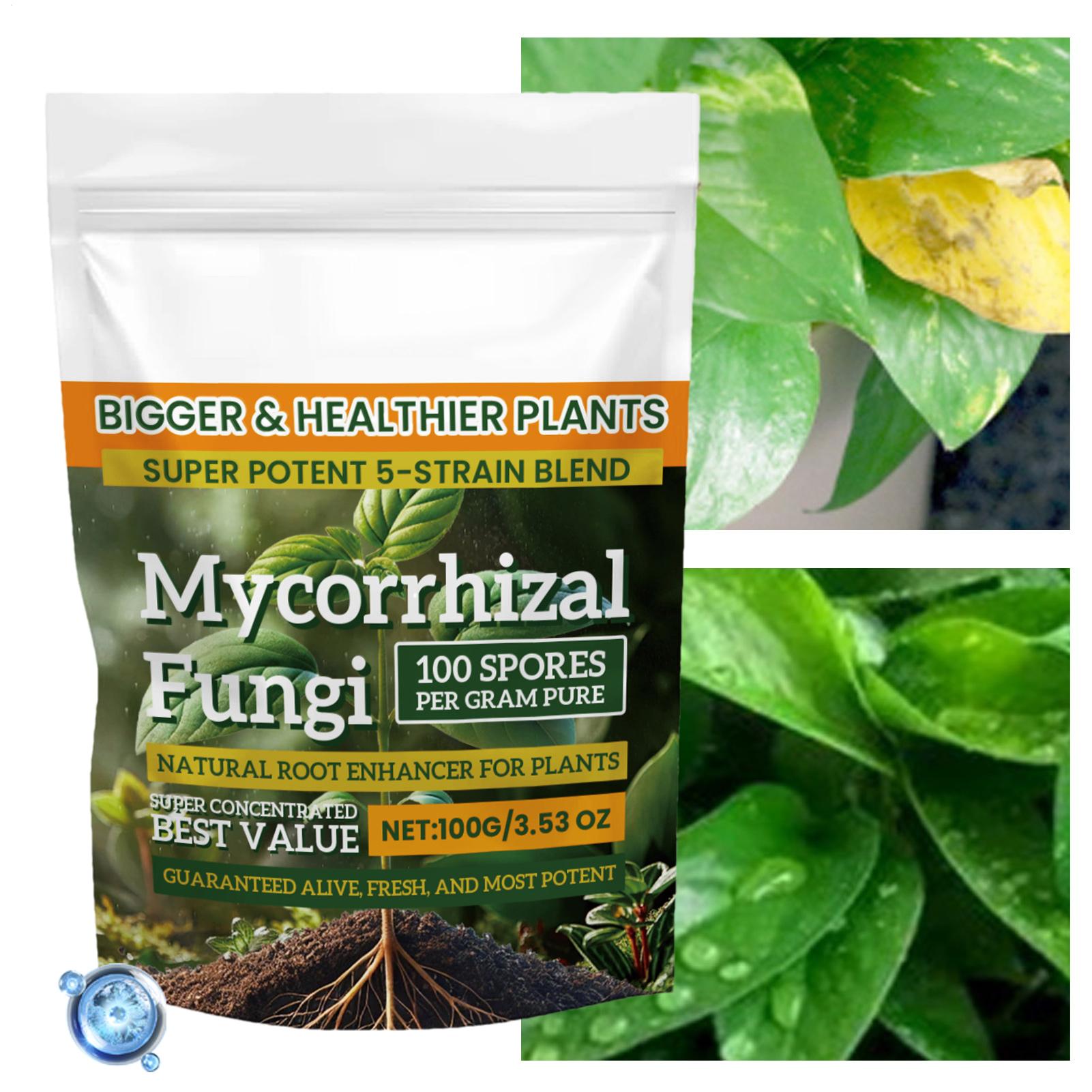 100g Root Enhancer Powder Natu - Roots Nutrition & Fitness Inglewood Photos review and price