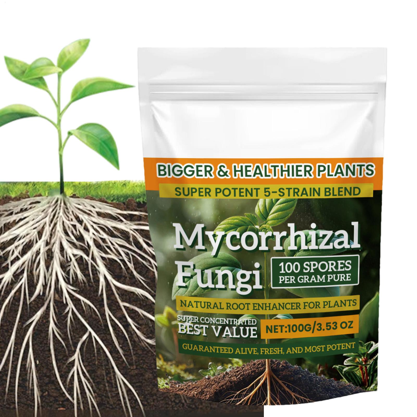 100g Root Enhancer Powder Natu - Roots Nutrition & Fitness Inglewood Photos review and price